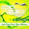 Download track Can You Feel The Silence (We Do Voodoo Remix)