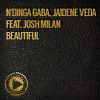 Download track Beautiful (Veda Vocal)