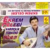 Download track Ankara Da Yedim Taze Meyvayı