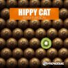 Download track Ancient Groove (Hippy Cat Remix)