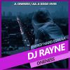 Download track A Good Vives (Rayne Remix)