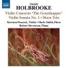 Download track Violin Concerto 'The Grasshopper', Op. 59 - I. Allegro Con Molto Fuoco