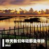 Download track 心很贵一定要装最美的东西