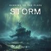 Download track Storm (Extended Mix)