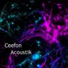 Download track Acoustik