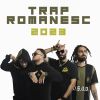 Download track TOBA ȘI Q BASSU