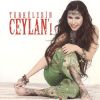 Download track Arguvana Gidemem