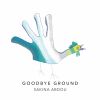 Download track Goodbye Ground