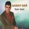 Download track Le Zırave (Incesin)