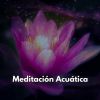 Download track Meditación Acuática