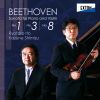Download track Sonata For Piano And Violin No. 3 In E-Flat Major Op. 12-3 2 Adagio Con Molto Espressione