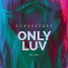 Download track Only Luv (Blazing Club Mix)