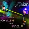 Download track Zalim