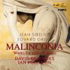 Download track Sibelius: Malinconia, Op. 20