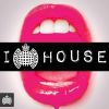 Download track I Love House (Continuous Mix 1 ROW)