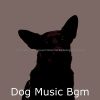 Download track Dream-Like Reducing Dog Stress