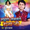 Download track Kase Lagala Vardi Raja Ji