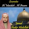 Download track Sourate Al Anam, Pt. 1 (Quran)