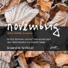 Download track Novembrig No. 6, Reminiszenz