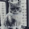 Download track Dream-Like Solo Piano Jazz - Vibe For Relaxing Your Cat