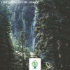 Download track Natural Sounds Of Forrest