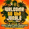 Download track Welcome To The Jungle (Continuous DJ Mix Part 2)