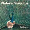 Download track Natural Selector