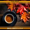 Download track Sugar Maple And Song