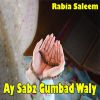 Download track Merey Aqaa Ka Roza Mediney Main Hai