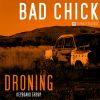 Download track Bad Chick (Radio Edit)