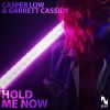 Download track Hold Me Now (Extended Mix)