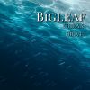 Download track Bullet In The Ocean