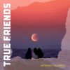 Download track True Friends