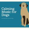 Download track Calming Music For Your Dog