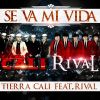 Download track Se Va Mi Vida (Rival)