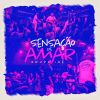 Download track Sensação De Amar (Ao Vivo)