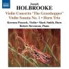 Download track Violin Concerto 'The Grasshopper', Op. 59 - I. Allegro Con Molto Fuoco