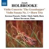 Download track Violin Concerto 'The Grasshopper', Op. 59 - III. Maestoso - Vivace Giocoso