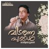 Download track Allahuve Nee Thunayaanu