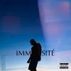 Download track Immensité