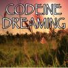 Download track Codeine Dreaming - Tribute To Kodak Black And Lil Wayne (Instrumental Version)