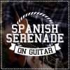 Download track Flamenco Guitar