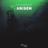 Download track Arisen