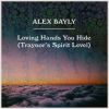 Download track Loving Hands You Hide (Radio Edit)