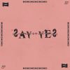 Download track Say Yes (X2X Remix)