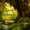 Download track Secret Hideaway