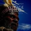 Download track Voyage Tribal De L'esprit Indien