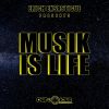 Download track Musik Is Life (DJ CARLOS G Down Town Remix)