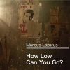 Download track How Low Can You Go-