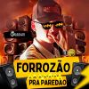 Download track Forrozinho Bixinho De Sorte